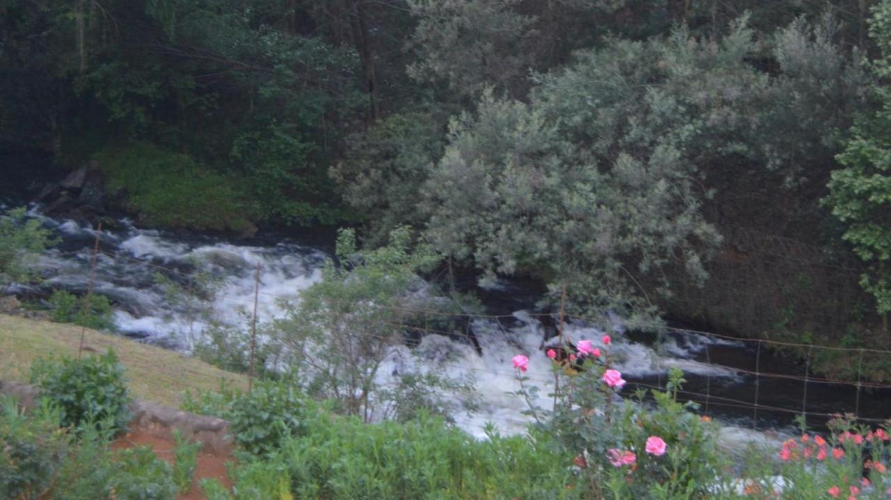 The Falls Cottages Howick Dış mekan fotoğraf