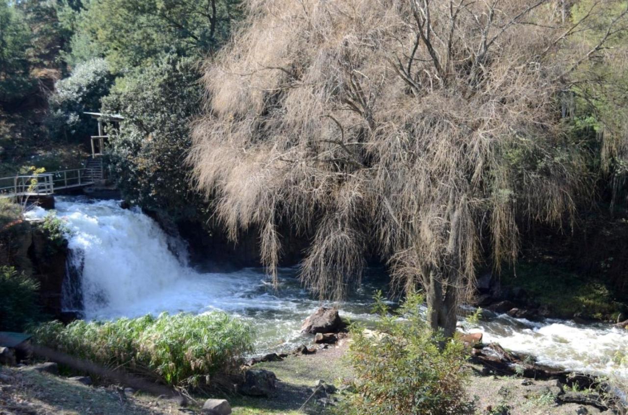 The Falls Cottages Howick Dış mekan fotoğraf